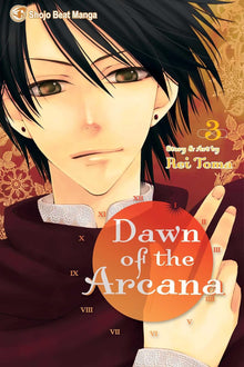 Links to Dawn of the Arcana, Vol. 3 by Rei Toma