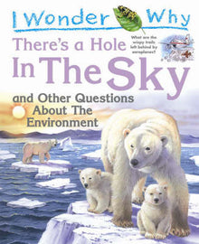 Links to There's a Hole in the Sky (I Wonder Why): And Other Questions About the Environment