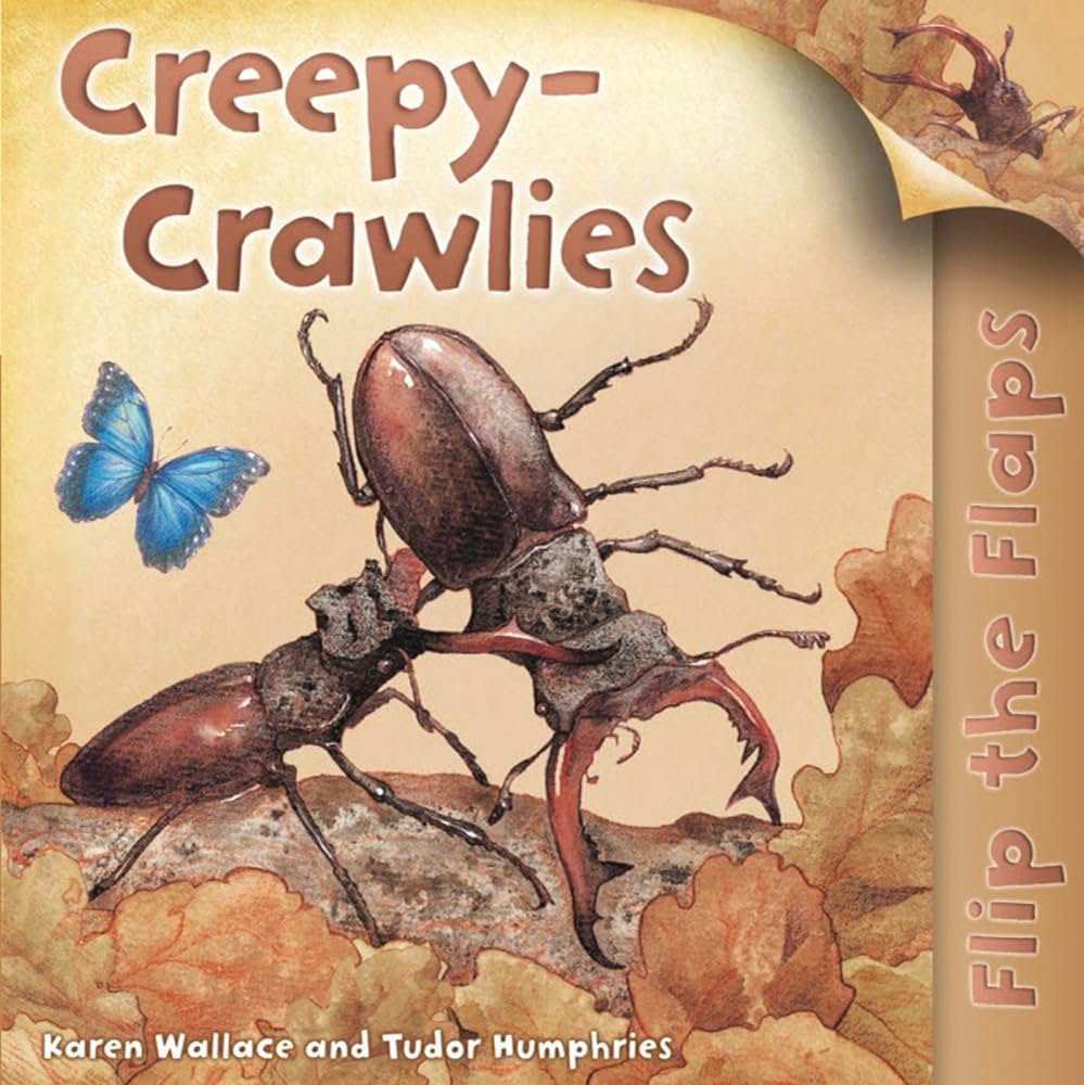 Flip The Flaps - Creepy Crawlies - Book Loop Book