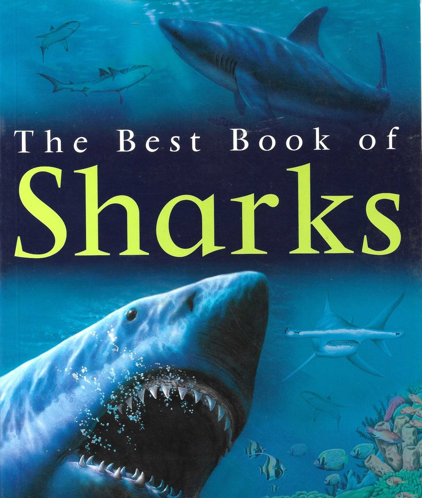 The Best Book of Sharks - Book Loop Book